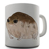 Grumpy Toad Novelty Mug