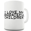 I Love My Ungrateful Children Ceramic Funny Mug